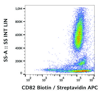 Monoclonal Anti-CD82 antibody produced in