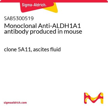 Monoclonal Anti-ALDH1A1 antibody produced in