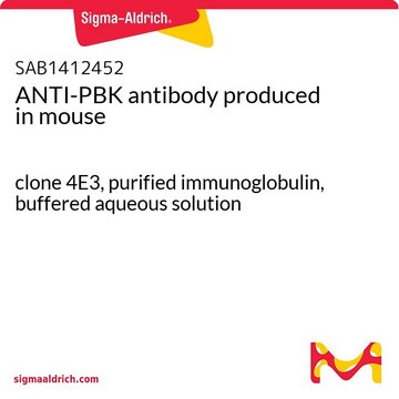 ANTI-PBK antibody produced in mouse