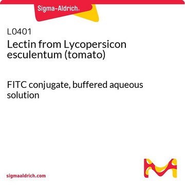 Lectin from Lycopersicon esculentum (tomato)