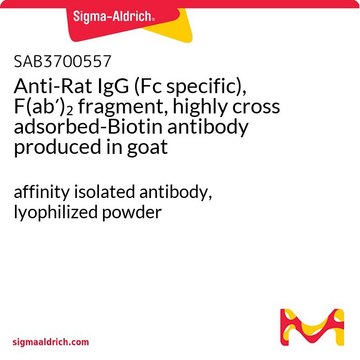 Anti-Rat IgG (Fc specific), F(ab?)?