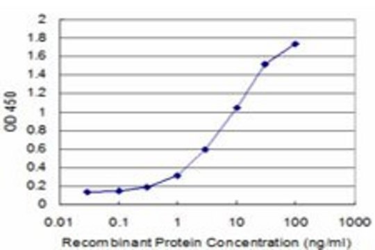 Monoclonal Anti-COPB antibody produced in