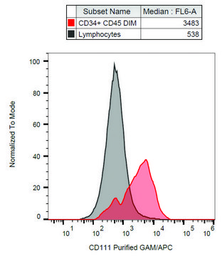 Monoclonal Anti-CD111 antibody produced in