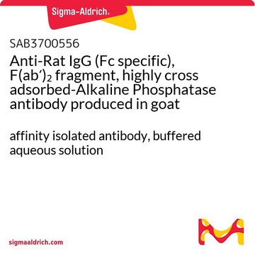 Anti-Rat IgG (Fc specific), F(ab?)?