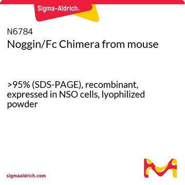 Noggin/Fc Chimera from mouse