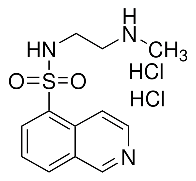 H-8 dihydrochloride