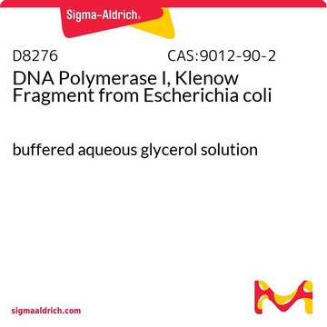 DNA Polymerase I, Klenow Fragment