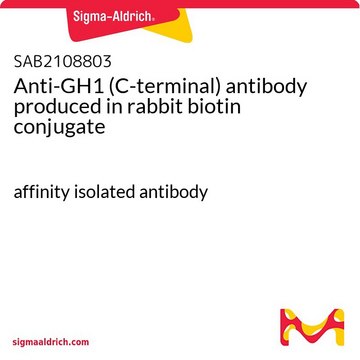 Anti-GH1 (C-terminal) antibody produced in