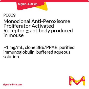 Monoclonal Anti-Peroxisome Proliferator Activated Receptor