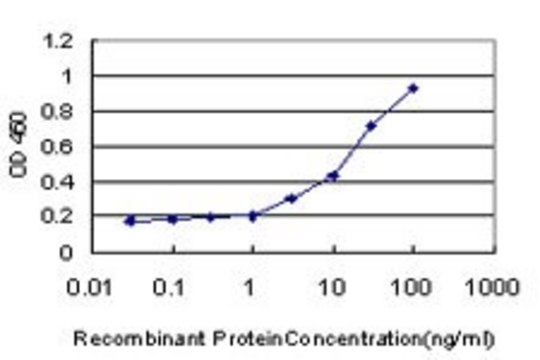 Monoclonal Anti-PIGL antibody produced in