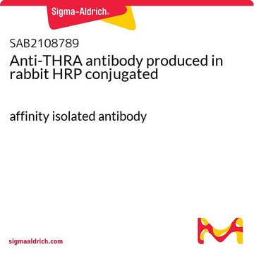 Anti-THRA antibody produced in rabbit