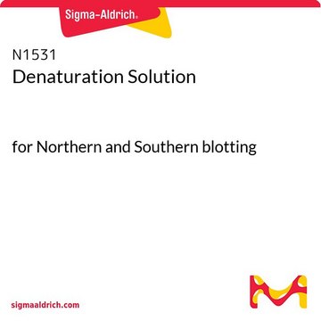 Denaturation Solution