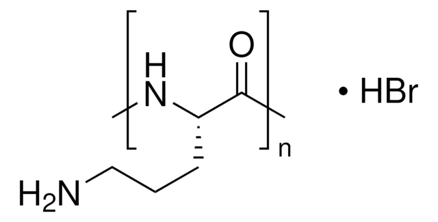 Poly-?-ornithine solution