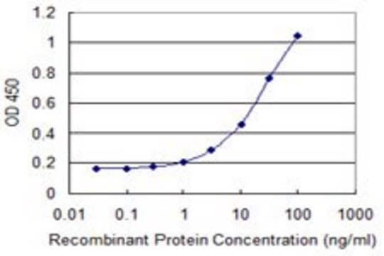 Monoclonal Anti-NCKIPSD, (N-terminal) antibody produced