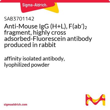 Anti-Mouse IgG (H+L), F(ab?)? fragment,