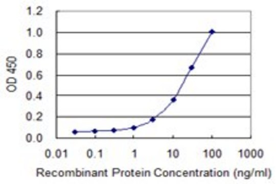 Monoclonal Anti-IDH3G antibody produced in