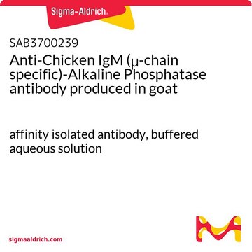 Anti-Chicken IgM (?-chain specific)-Alkaline Phosphatase