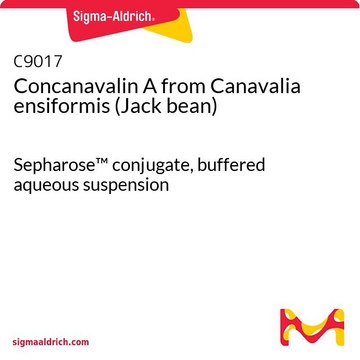 Concanavalin A from Canavalia ensiformis