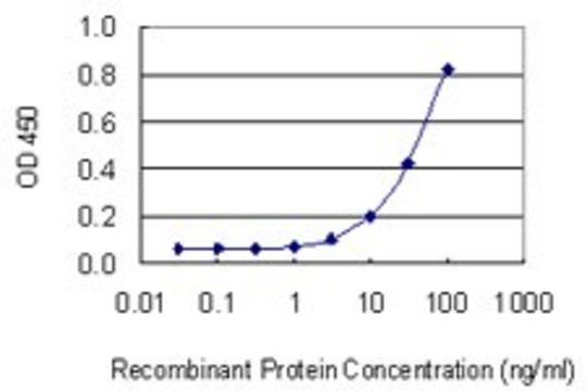 Monoclonal Anti-OLFM1 antibody produced in