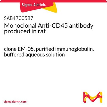 Monoclonal Anti-CD45 antibody produced in