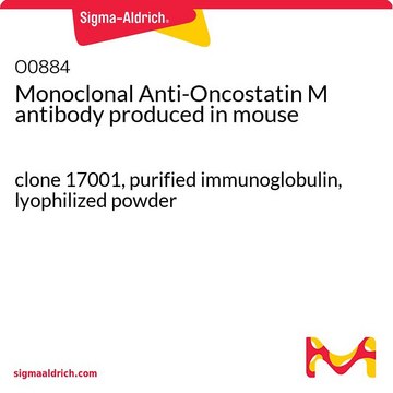 Monoclonal Anti-Oncostatin M antibody produced