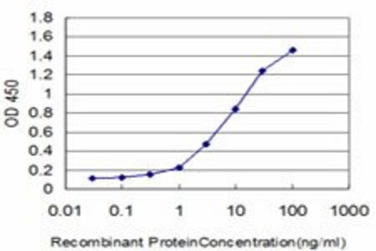 ANTI-FOXQ1 antibody produced in mouse