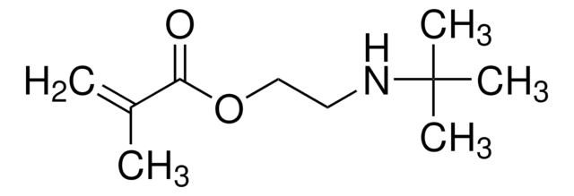 2-(tert-Butylamino)ethyl methacrylate