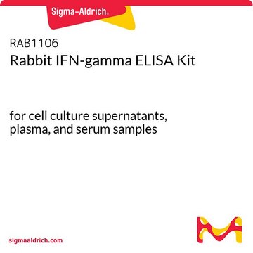 Rabbit IFN-gamma ELISA Kit