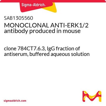 MONOCLONAL ANTI-ERK1/2 antibody produced in