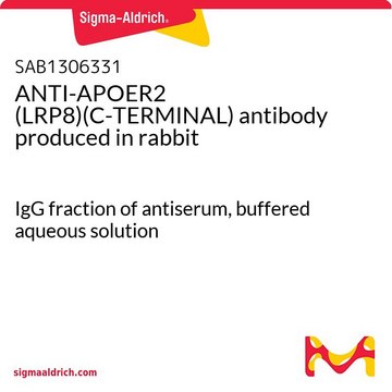 ANTI-APOER2 (LRP8)(C-TERMINAL) antibody produced in