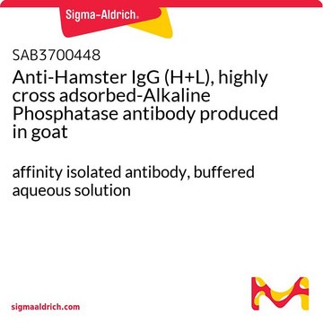 Anti-Hamster IgG (H+L), highly cross