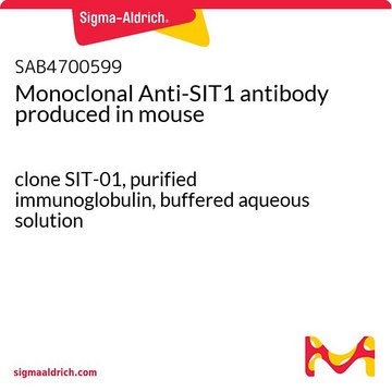 Monoclonal Anti-SIT1 antibody produced in