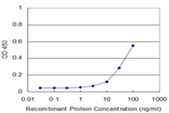 Monoclonal Anti-PLSCR1 antibody produced in