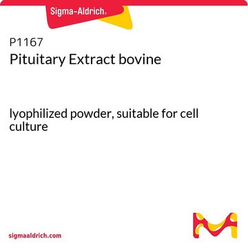 Pituitary Extract bovine