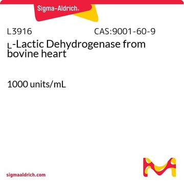 ?-Lactic Dehydrogenase from bovine heart