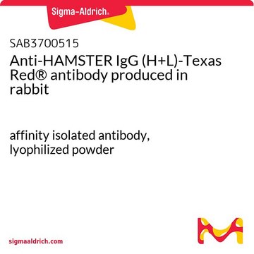 Anti-HAMSTER IgG (H+L)-Texas Red® antibody
