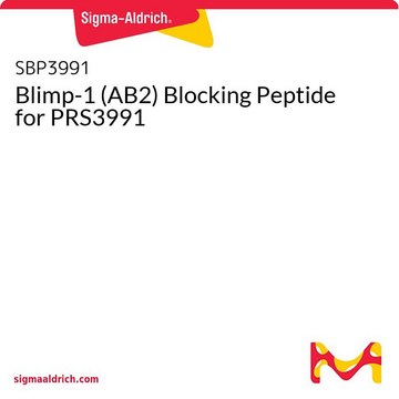 Blimp-1 (AB2) Blocking Peptide for
