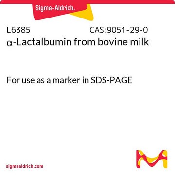 ?-Lactalbumin from bovine milk