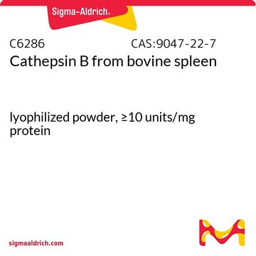 Cathepsin B from bovine spleen