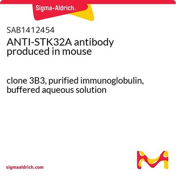 ANTI-STK32A antibody produced in mouse