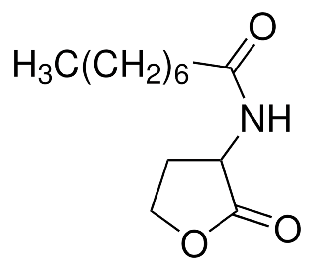 N-Octanoyl-??-homoserine lactone