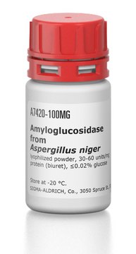 Amyloglucosidase from Aspergillus niger