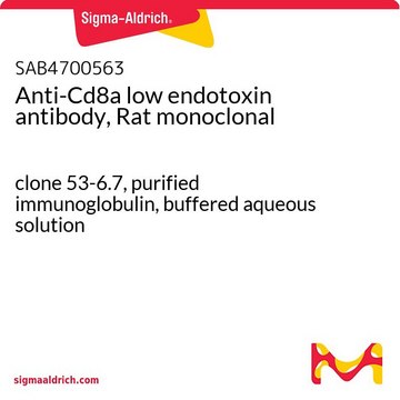 Anti-Cd8a low endotoxin antibody, Rat