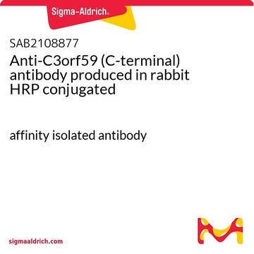 Anti-C3orf59 (C-terminal) antibody produced in