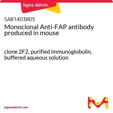 Monoclonal Anti-FAP antibody produced in
