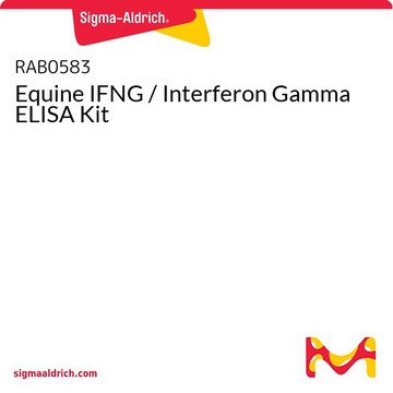 Equine IFNG / Interferon Gamma