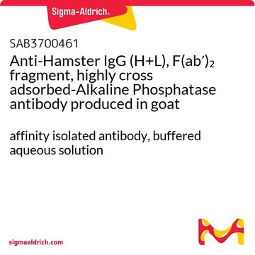 Anti-Hamster IgG (H+L), F(ab?)? fragment,