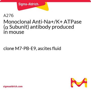 Monoclonal Anti-Na?/K? ATPase (? Subunit)