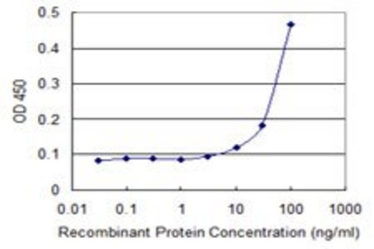 Monoclonal Anti-SLC27A1 antibody produced in