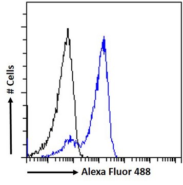 Anti-HSPC150/UBE2T antibody produced in goat